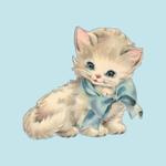 timidcat's profile picture