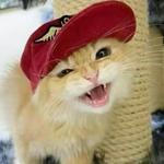vintageme0w's profile picture