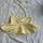 item listed by vintageme0w