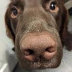 jarvmate's profile picture