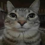 joon_67's profile picture