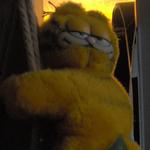skyraye's profile picture