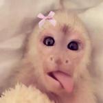 yklscloset's profile picture