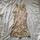 item listed by thats_my_purse