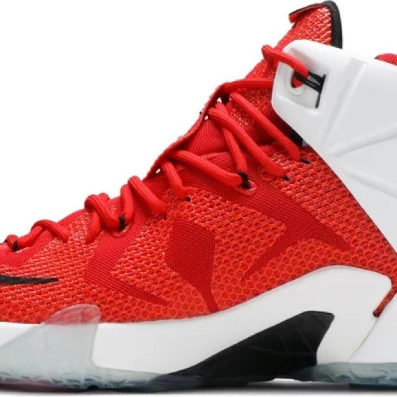 2014 Nike Lebron 12 'Heart Of A Lion' size... | Depop, image size:1280x1280