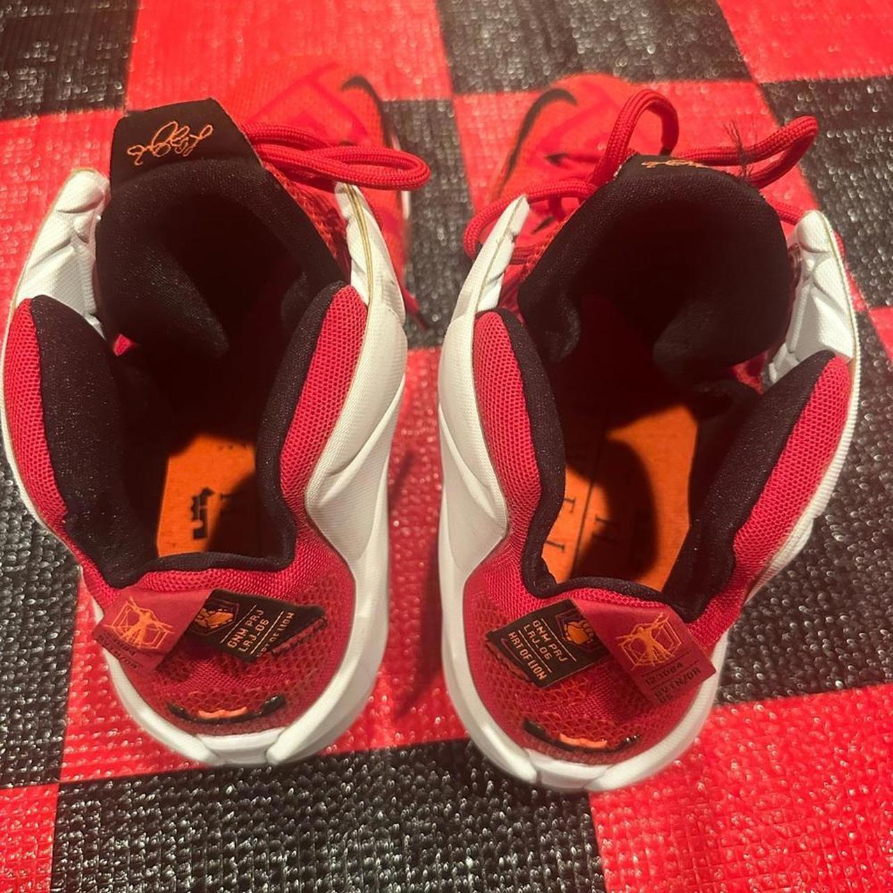 2014 Nike Lebron 12 'Heart Of A Lion' size... | Depop, image size:1280x1280