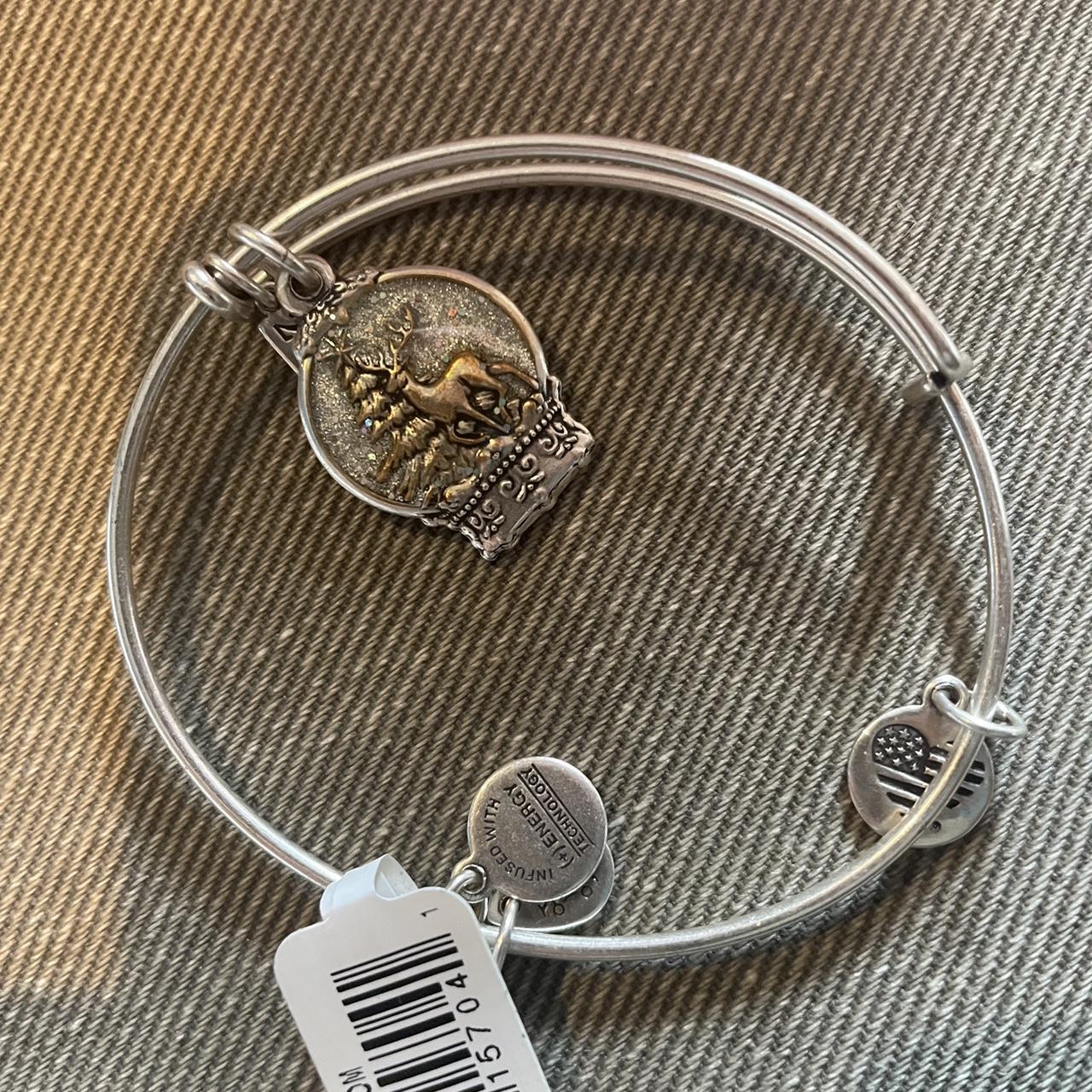 Alex and ani snow globe bracelet fashion