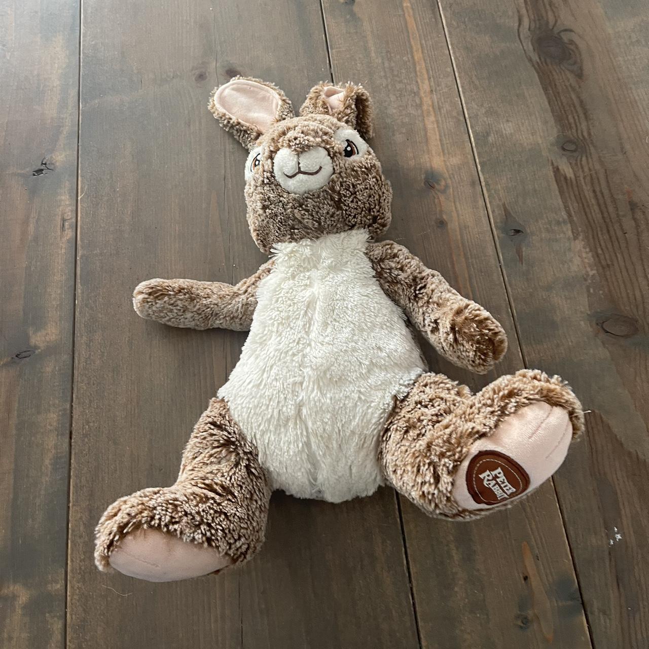 Dan Dee Petter Rabbit 2017 Collector's Choice Large | Depop