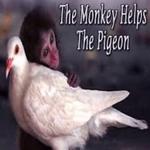 wrigley123's profile picture
