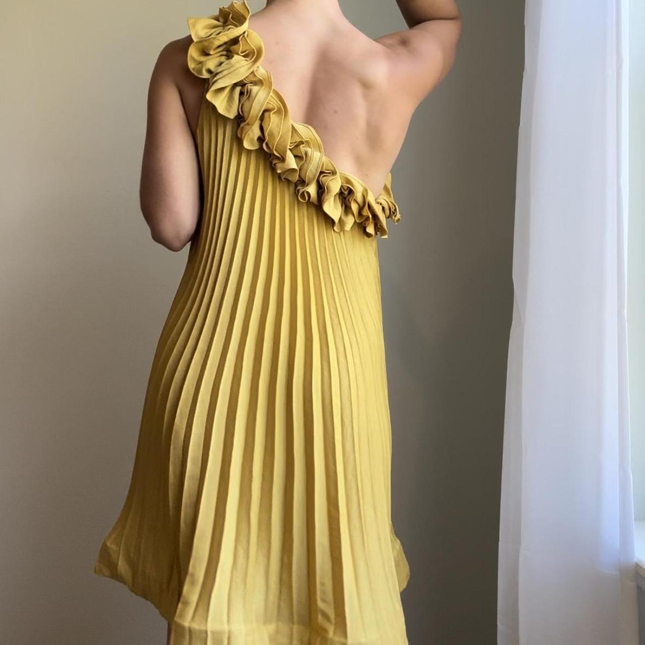 BCBG Pleated Dress