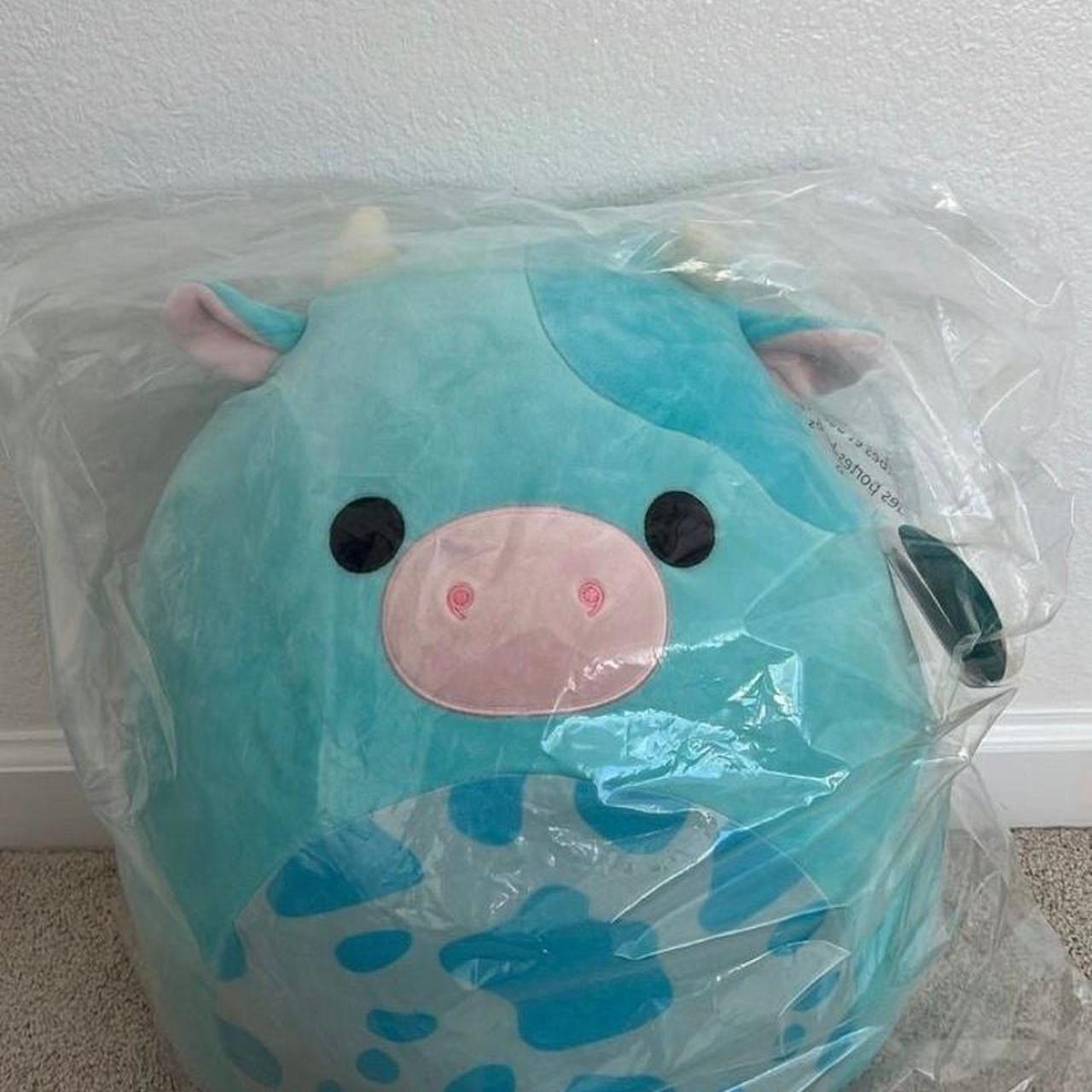 Tuluck buy squishmallow