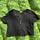 item listed by 11kmcguire