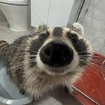 findwhatulike's profile picture