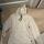 item listed by apburke10