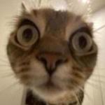 greg_clyde_59's profile picture