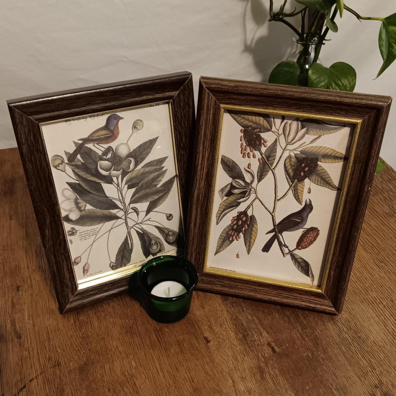 item listed by midwestlobster