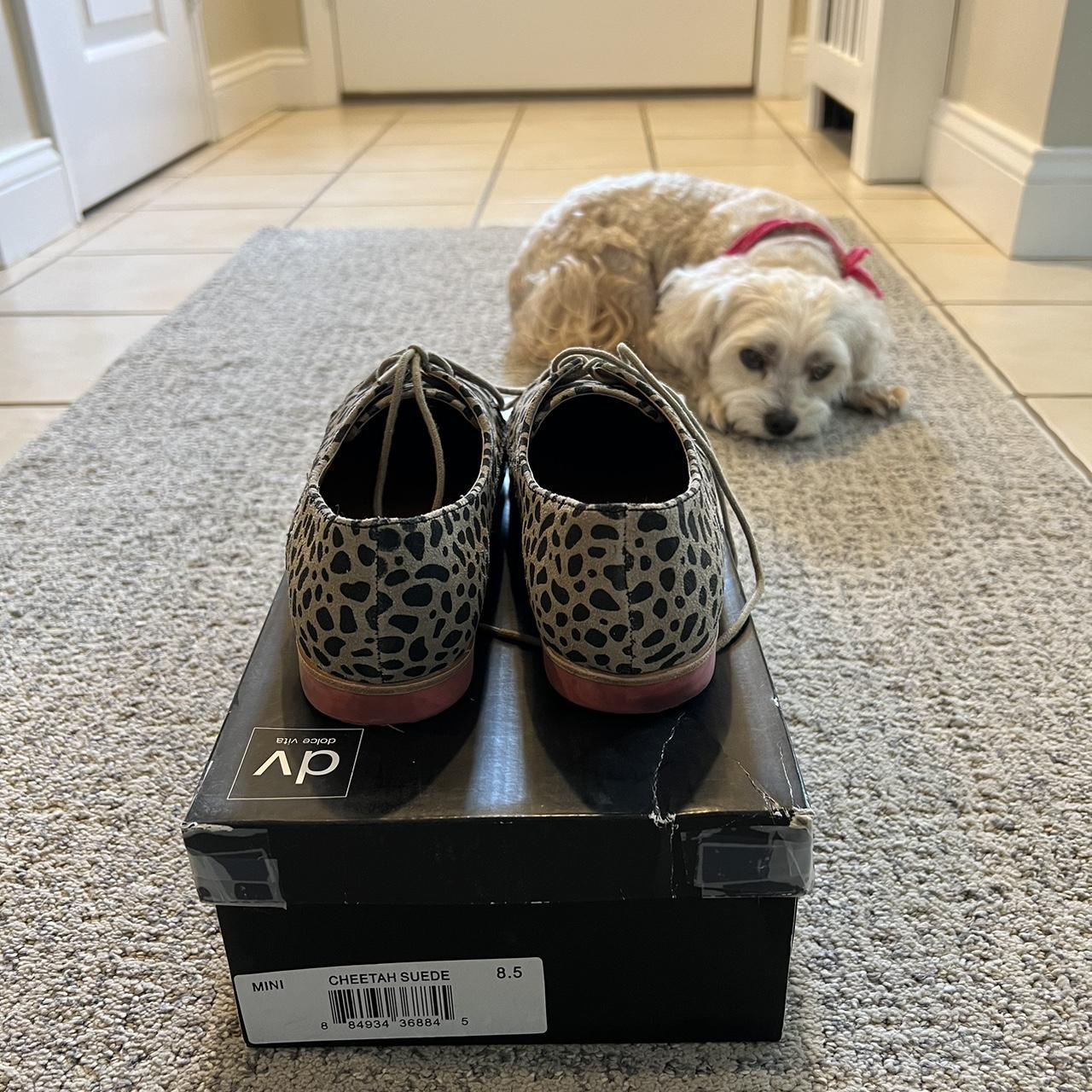 Dolce Vita leopard print suede oxfords in tan and