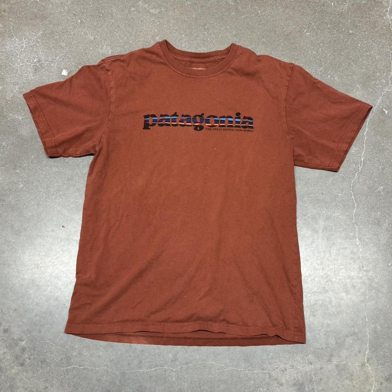 Vintage Patagonia T shirt, Size M (measurements