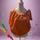 item listed by puzzlepieces2623