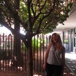 ellevo's profile picture