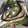 item listed by lyaanaa__