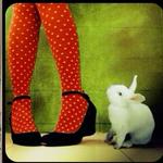 sar3enaa's profile picture