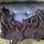 item listed by jennii_xoxo