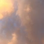 shichie's profile picture