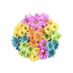 tracypope38's profile picture