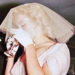 swingingsixties's profile picture