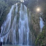 worldtravelfund's profile picture