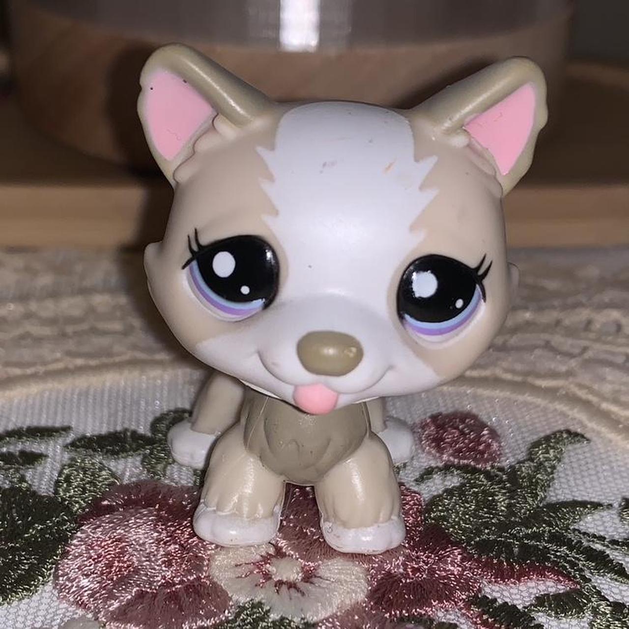 Littlest Pet Shop LPS: Authentic #1817 Brown