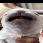 haze131699's profile picture
