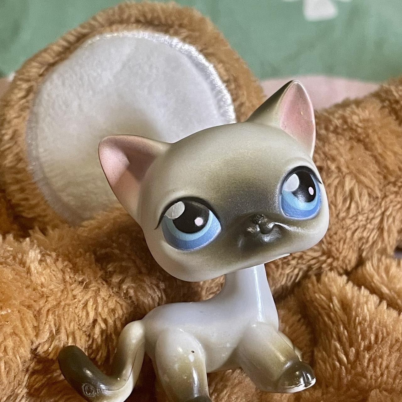 Littlest Pet Shop- LPS Shorthair Cat —- Shorthair... - Depop