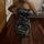 item listed by aleenafashionbff