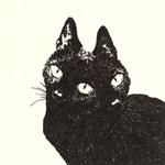 l_addi's profile picture