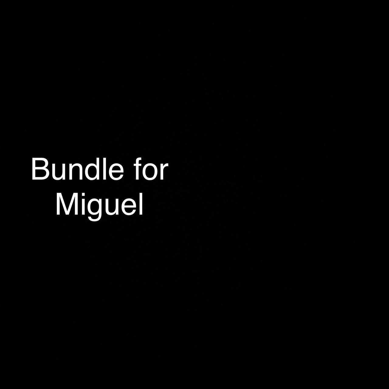 Bundle for MIGUEL 2024