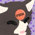 gummycattt's profile picture