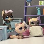 sydneyclarkk88's profile picture