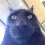 gg_snky's profile picture