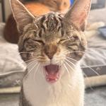 pinkmoon_96's profile picture
