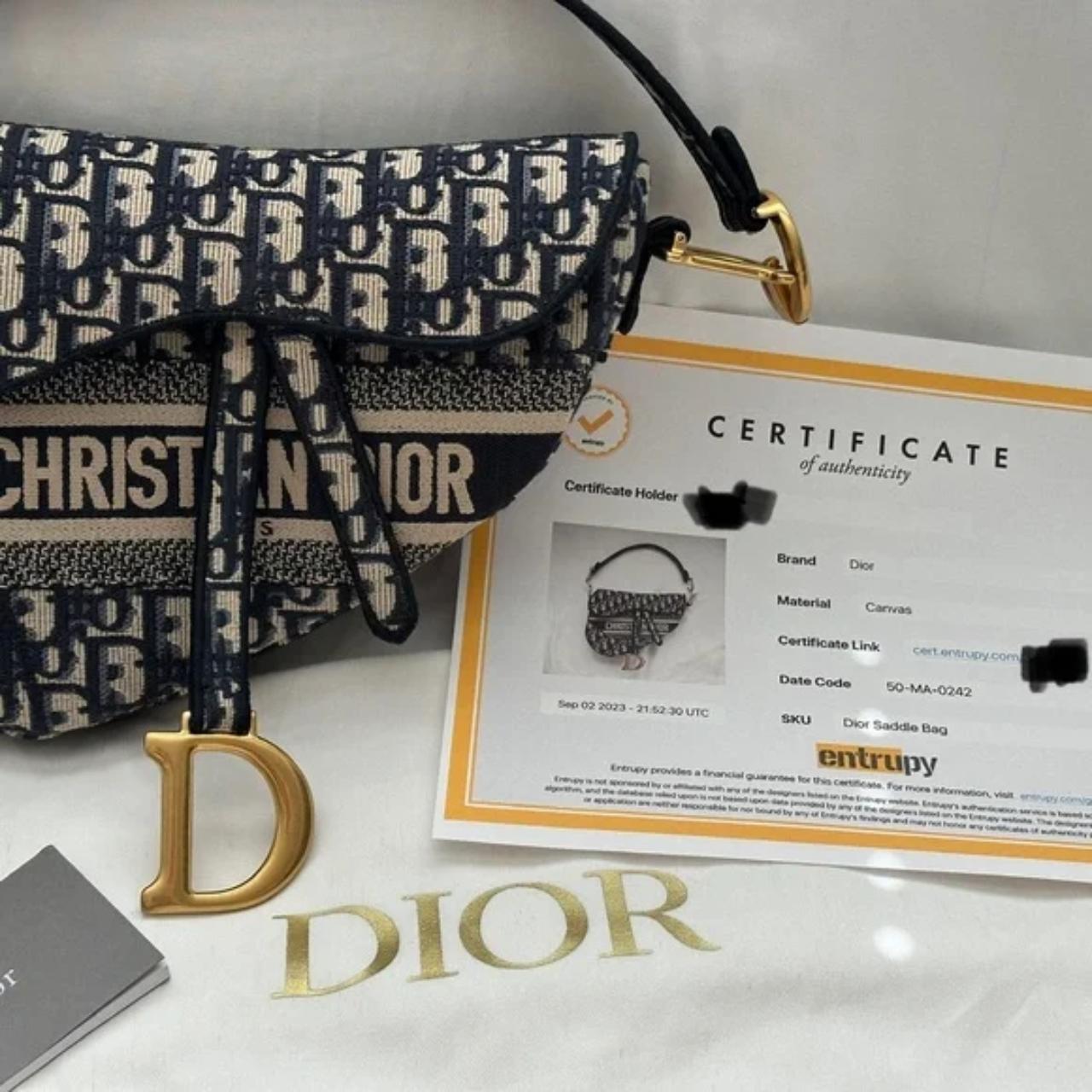 dior saddle bag depop