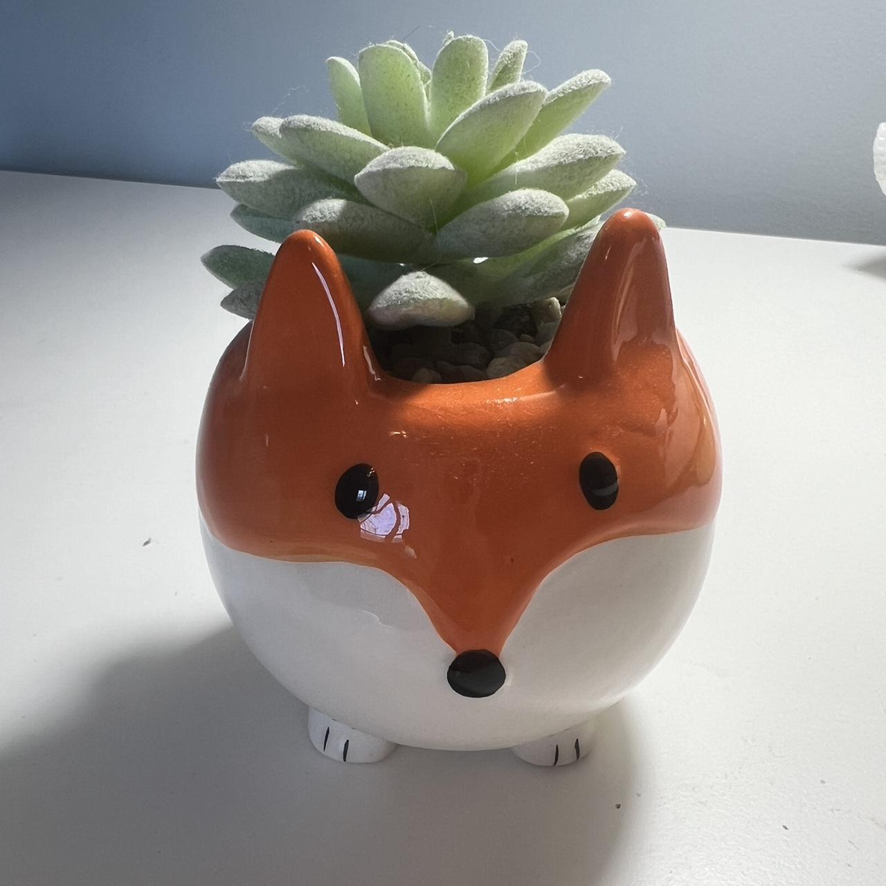 Cute room plant! Depop
