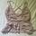 item listed by joce_nerd9