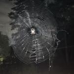 mattyics's profile picture