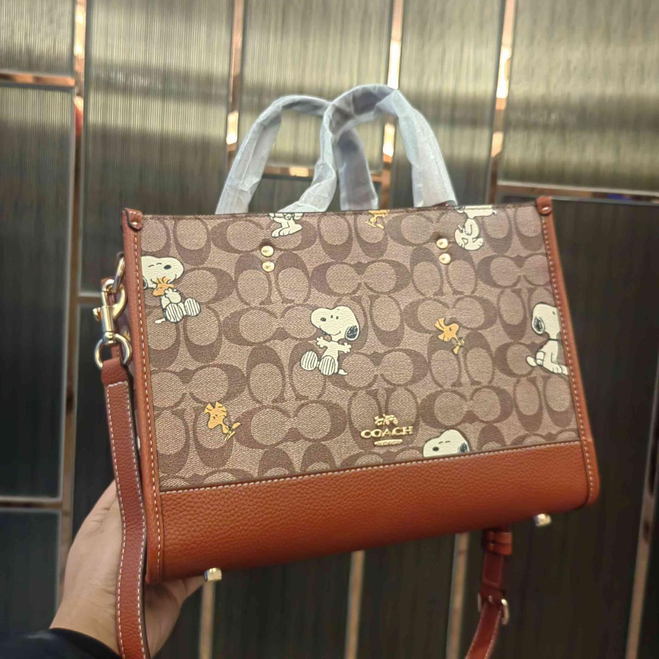 COACH PEANUTS DEMPSEY Carryall Signature Canvas | Depop