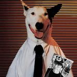 vntgdep's profile picture