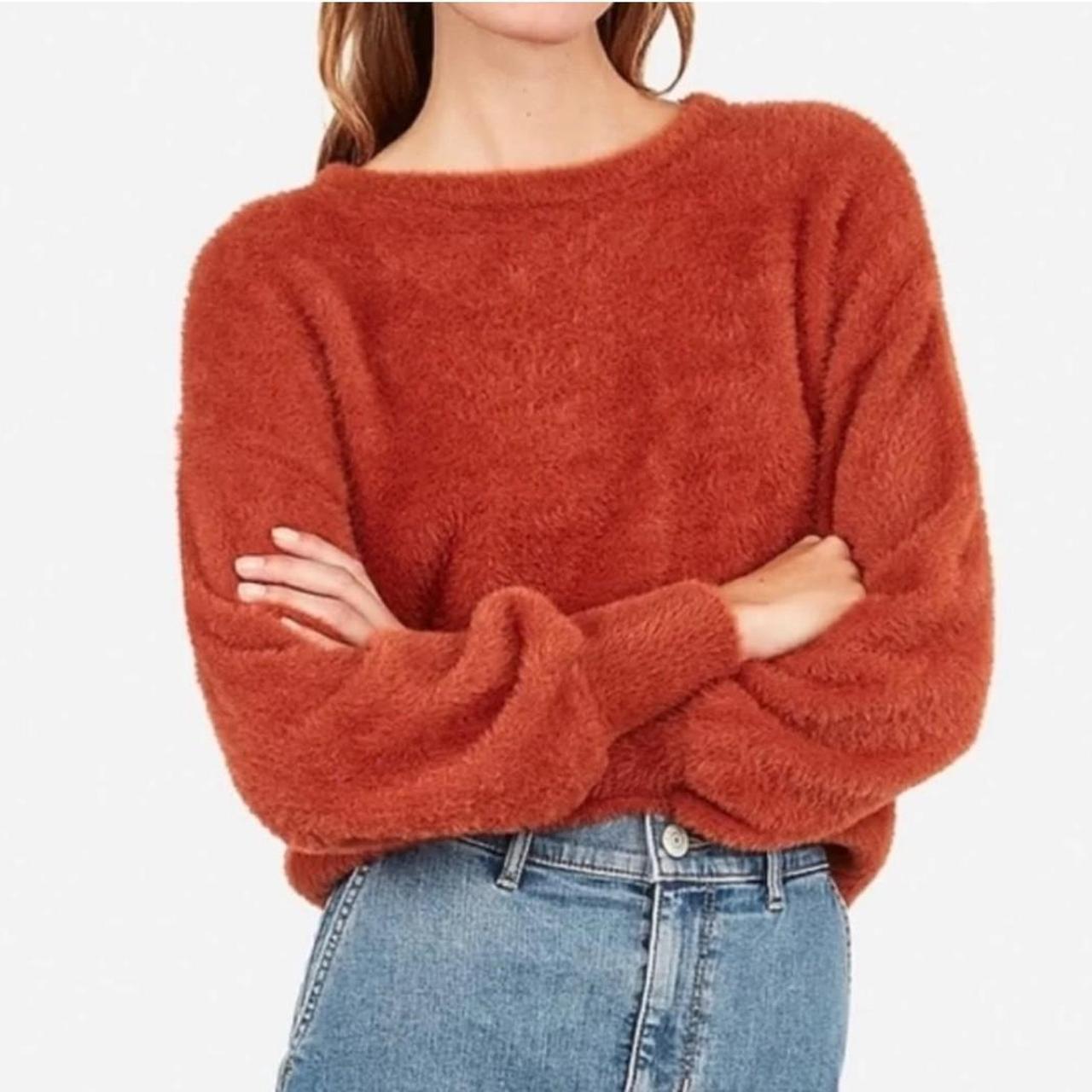 Express fluffy sweater best sale