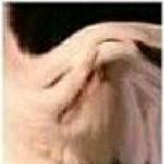 mustachemuffins's profile picture
