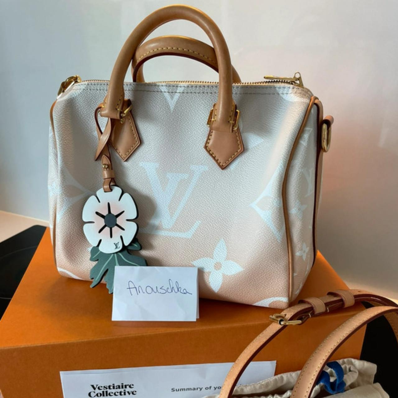 Louis Vuitton Speedy 25 By The Pool Limited